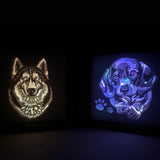 Moonlit Harmony: Cat and Dog Serenity Lightbox