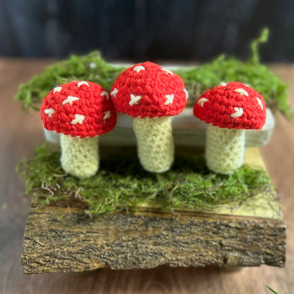 'Shrooms / Crinkle Catnip Crocheted Mushroom Toys