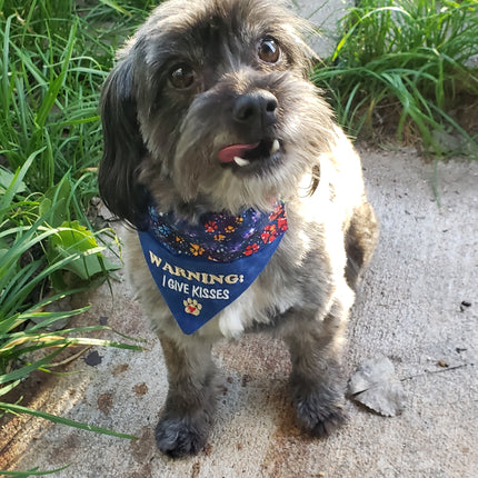 Custom Order Bandana