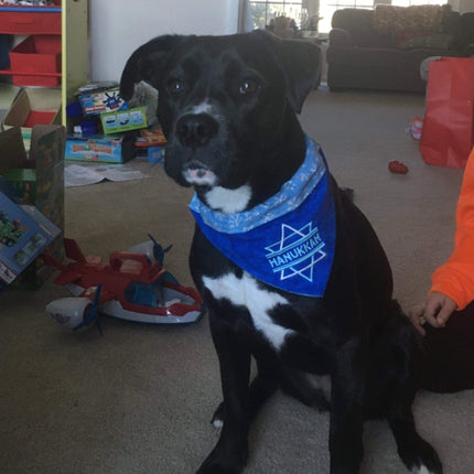 Hanukkah / Holiday Dog Bandana