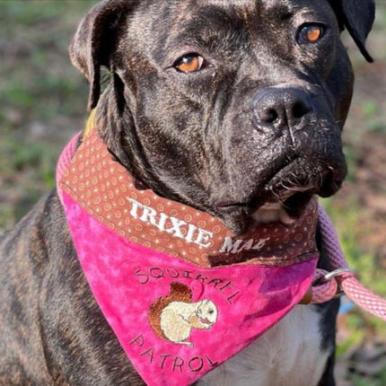 Squirrel Patrol / Over the Collar Dog Bandana