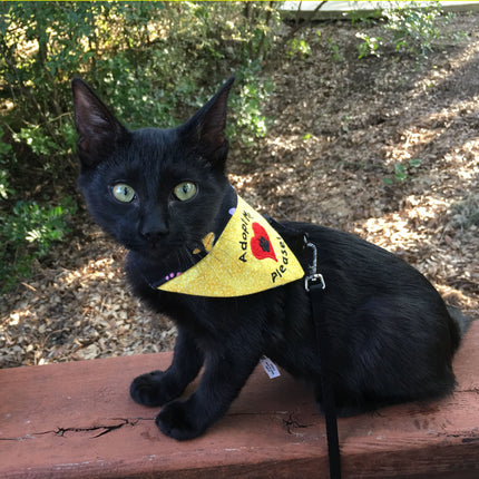 Adopt Me Please Bandanna