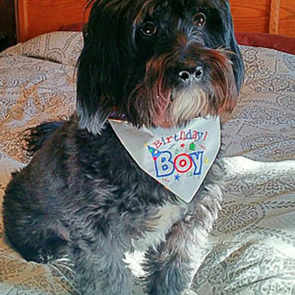 Birthday Boy Dog Bandanna