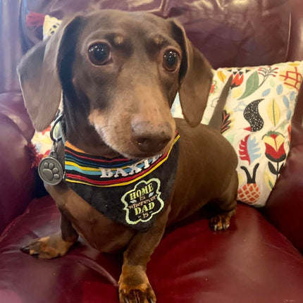 Home is Wherever DAD is / Over the Collar Bandana