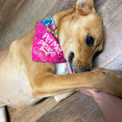 Pet Me Please / Over the Collar Dog Bandana
