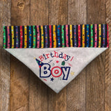 Birthday Boy / Over the Collar Dog Bandana - Mydeye