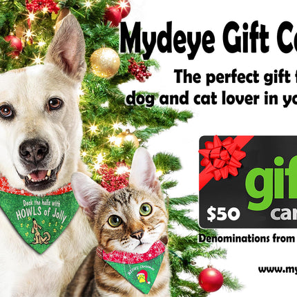 Mydeye Gift Card - Christmas