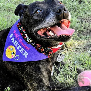 Custom Order Bandana