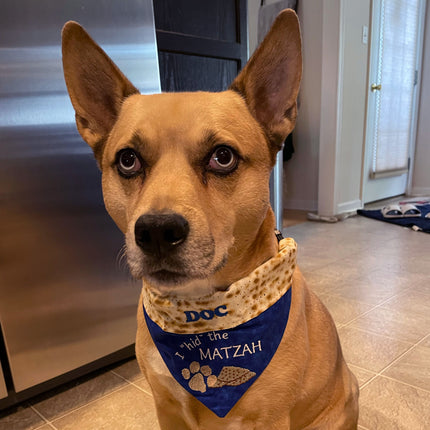 I Hid the Matzah Dog Bandana / Passover Over the Collar Dog Bandana