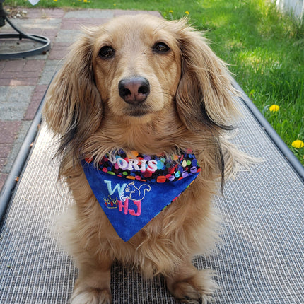 W & HJ - Fan Club Logo / Over the Collar Dog Bandana
