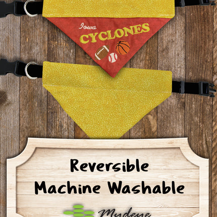 Iowa Cyclones / Over the Collar Dog Bandana