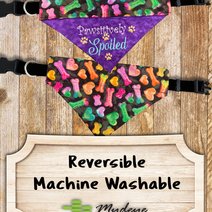 PAWsitively Spoiled / Over the Collar Dog Bandana