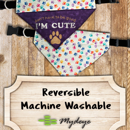 I'm Cute / Over the Collar Dog Bandana