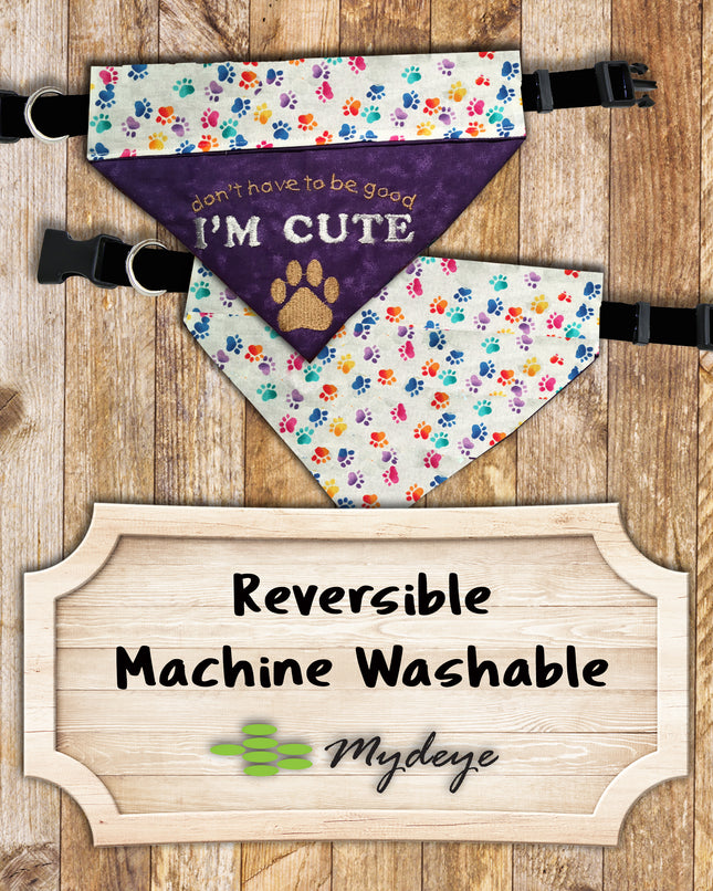 I'm Cute / Over the Collar Dog Bandana