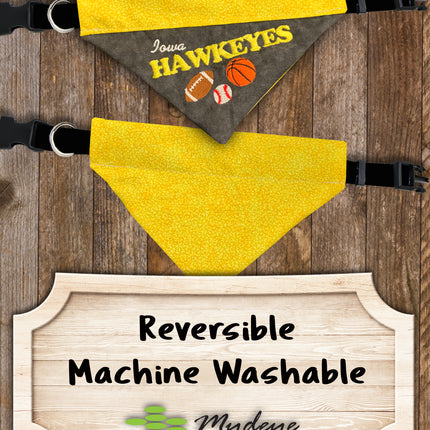 Iowa Hawkeyes / Over the Collar Dog Bandana