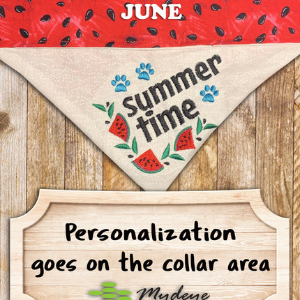Summer Time Watermelon / Over the Collar Dog Bandana