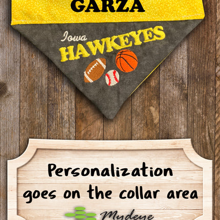 Iowa Hawkeyes / Over the Collar Dog Bandana