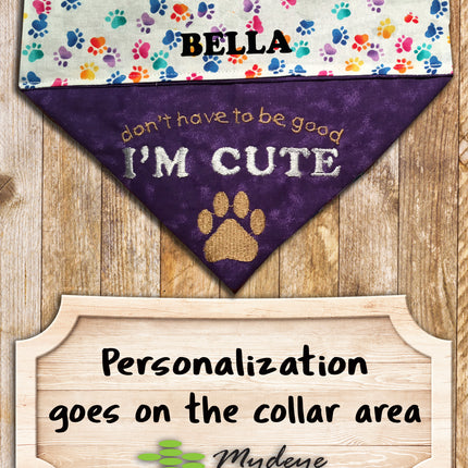 I'm Cute / Over the Collar Dog Bandana