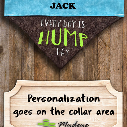 Hump Day / Over the Collar Dog Bandana