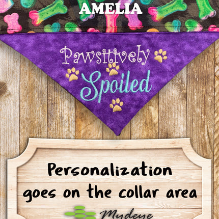 PAWsitively Spoiled / Over the Collar Dog Bandana