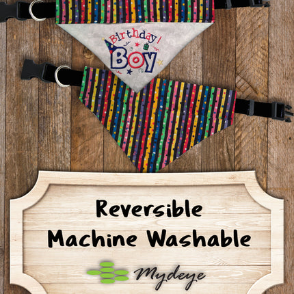 Birthday Boy / Over the Collar Dog Bandana
