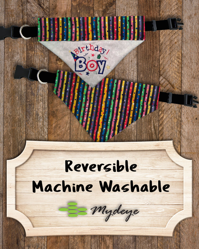 Birthday Boy / Over the Collar Dog Bandana