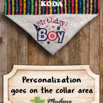 Birthday Boy / Over the Collar Dog Bandana