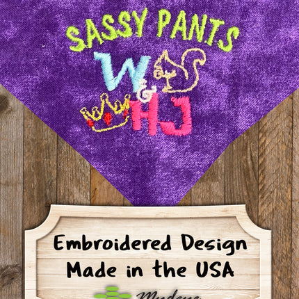 W & HJ - Sassy Pants / Over the Collar Dog Bandana