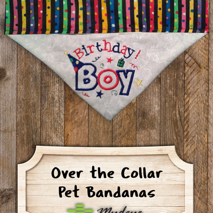 Birthday Boy / Over the Collar Dog Bandana