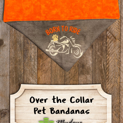 Born to Ride / Over the Collar Dog Bandana