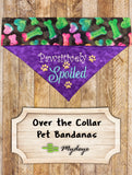 PAWsitively Spoiled / Over the Collar Dog Bandana