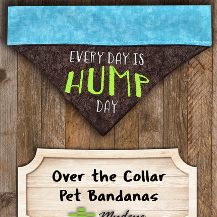 Hump Day / Over the Collar Dog Bandana