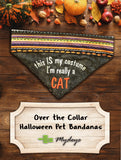 I'm really a CAT / Halloween Dog Bandana