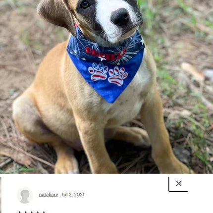Flag Paws / Over the Collar Dog Bandana
