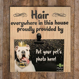 Wood Sign - Hair in this House Provided by Our Pets - Mydeye