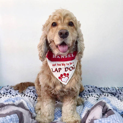 Not to big to be a Lap Dog / Over the Collar Dog Bandana