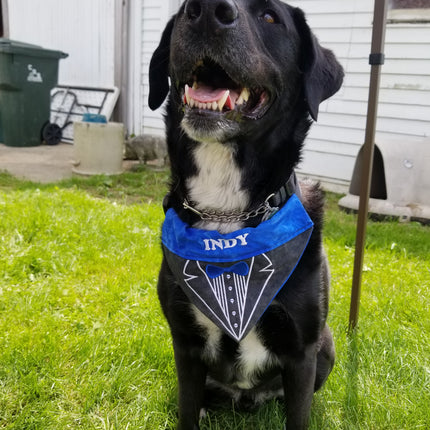 Tuxedo / Over the Collar Dog Bandana