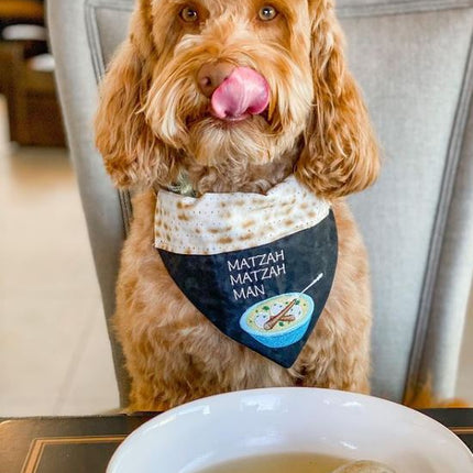 Passover Dog Bandana / Matzah Matzah Man