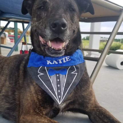 Tuxedo / Over the Collar Dog Bandana