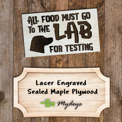 Magnet - Lab Testing