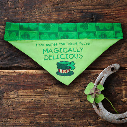 Magically Delicious / Over the Collar Dog Bandana