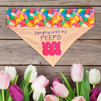 Hanging with my Peeps / Easter Dog Bandana