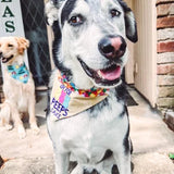 Oh for Peeps Sake / Funny Easter Dog Bandana