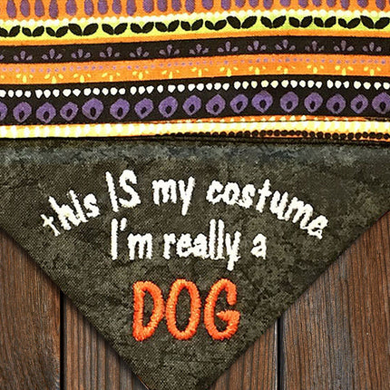 I'm really a DOG / Halloween Cat Bandana