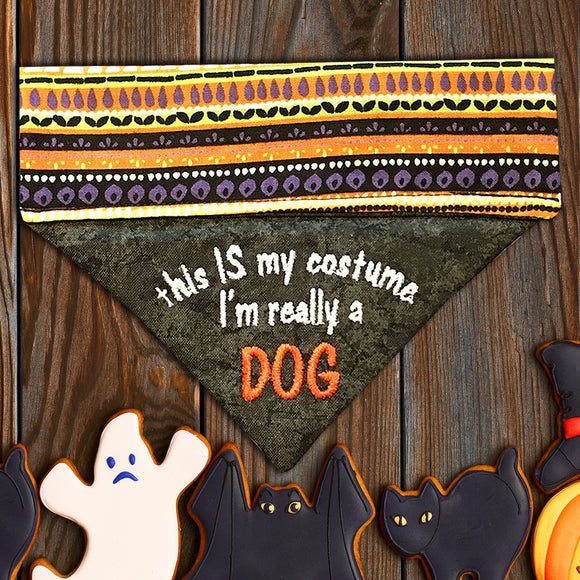 I'm really a DOG / Halloween Cat Bandana
