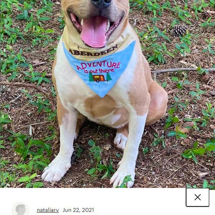 Adventure is Out There / Over the Collar Dog Bandana