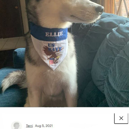 US Navy / Over the Collar Dog Bandana