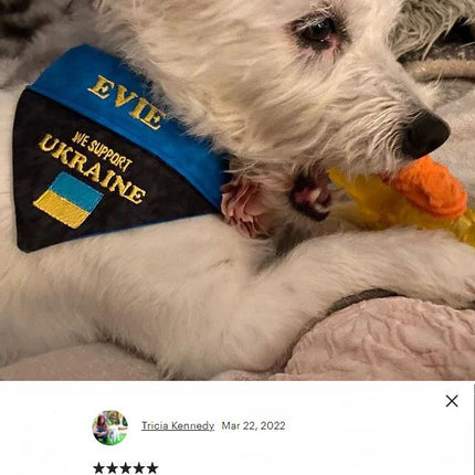 Ukrainian Support Bandana