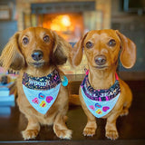 Candy Hearts - Valentine's Day / Over the Collar Dog Bandana