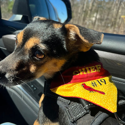 Custom Order Bandana